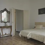 Lua Lua Palmas